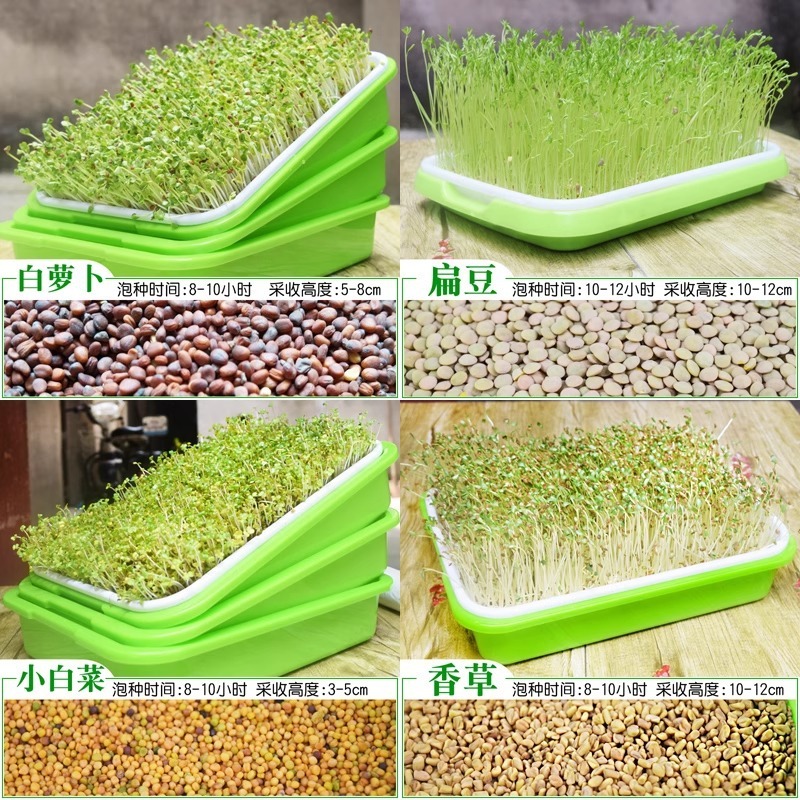 もやし発芽ポット、水耕野菜設備、エンドウ豆苗植栽ラック、無土壌栽培トレイ、家庭用もやし苗トレイ|undefined