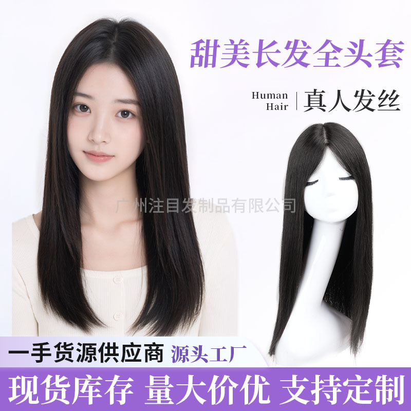 Long Straight Full Real Hair Wig for Women, Double Needle Real Hair Wig, Sweet and Natural Full Head Wig