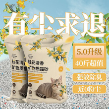 ؈ɰ���]20������������ľ���VɰС�׶���40����b؈ɳ