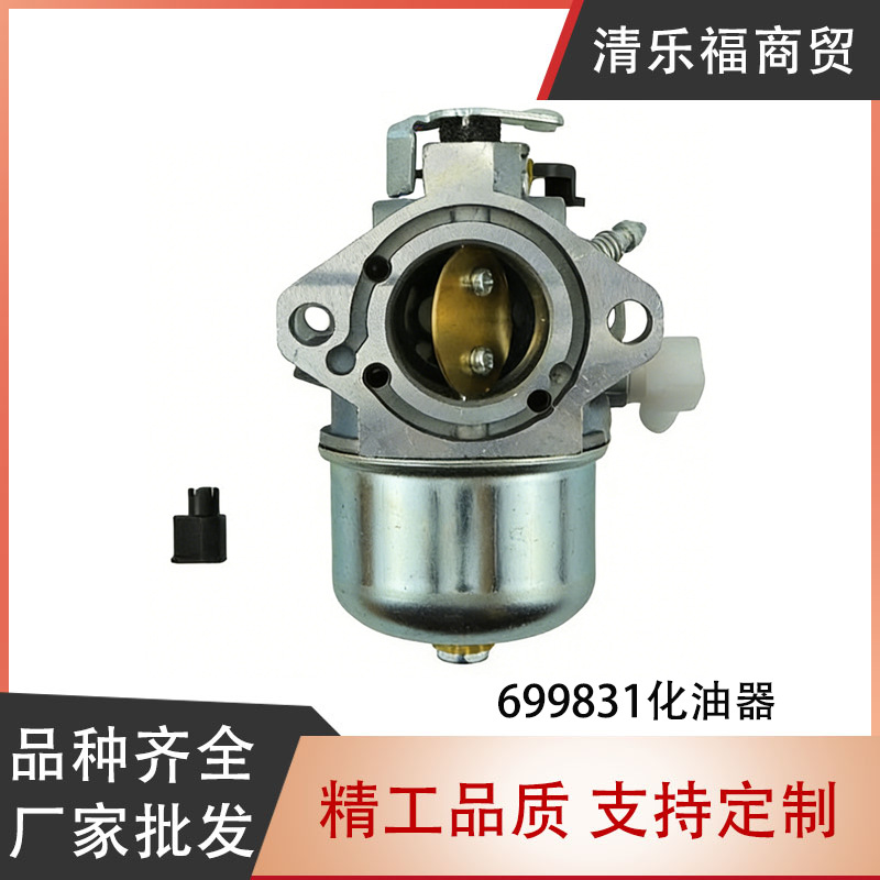 Garden Carburetor Suitable for Briggs & Stratton 699831 694941 499158 283702 Cross-Border Wholesale