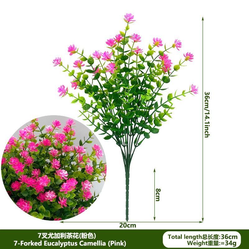 Camellia de Eucalyptus rosa