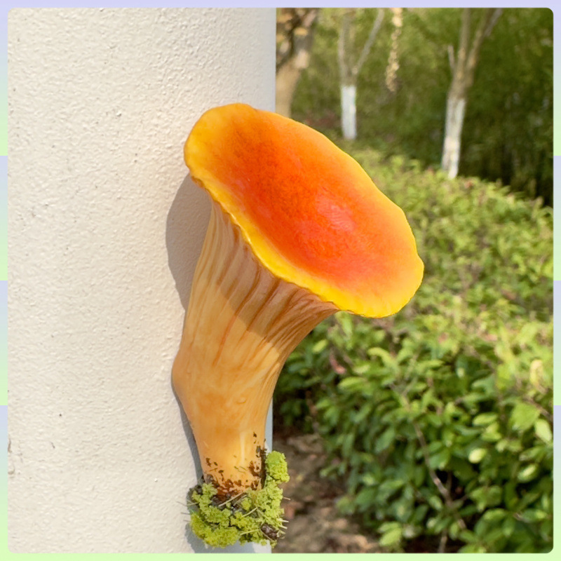 云南野生菌冰箱贴 手工制作 磁铁冰箱贴 蘑菇冰箱贴 冰箱贴磁吸式|undefined