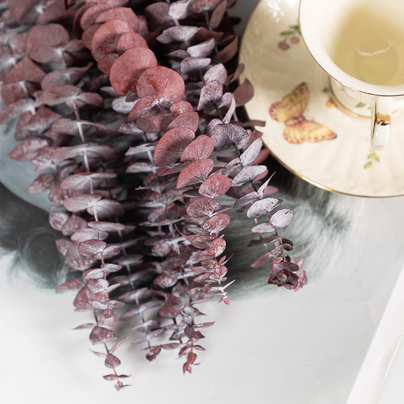 유칼립투스 잎 빨간색 10 스틱