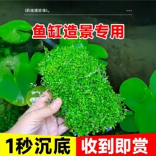 ���ذ�����ˮ���ձ�ſ�ذ�����ˮ��ֲ�����B�~���쾰���Ã���ˮ�|