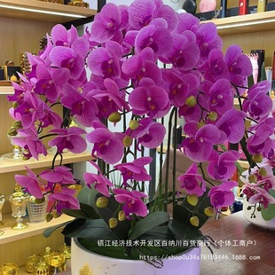 ���s�Ҿ��bٵ��m�͏d���ܲ����ָ����Ժ�����ˇ�m���[���ҾӺ�