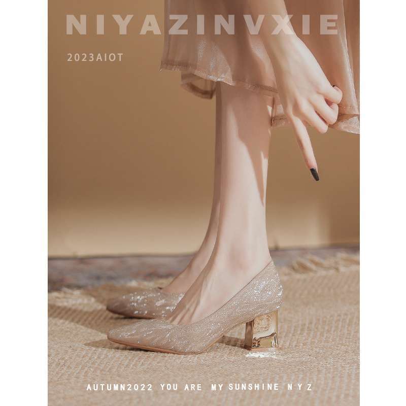 Daily Wearable Champagne-Colored Wedding Shoes for Women with Thick Heels That Are Not Tiring for Bridesmaids, Single Shoes with Skirts, Engagement Party Pointed-Toe High Heels