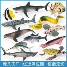 ������~Ⱥ���溣�����ģ�͌������~���~�������~�L���N�^��