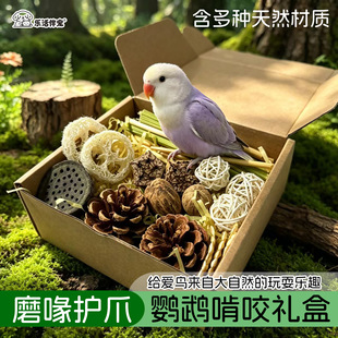 �W�^��ҧ�Y�нM����Ȼɏ��z�Ͻj�ɹ��������ľ���o���������p��