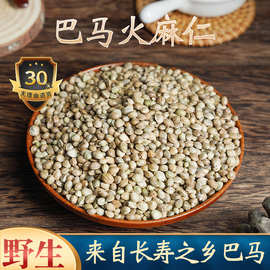 火麻仁中药材麻子仁去壳去皮广西精选籽500g另有桑叶决明子药材全