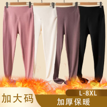 中老年妈妈加肥加大码德绒高腰秋裤女士胖妹妹冬季加绒加厚保暖裤