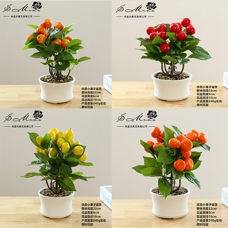 Fruit Pot Set de 4 piezas ☆