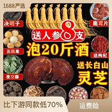 泡酒的药材100种中药材泡酒料滋补养生药酒养生泡酒料