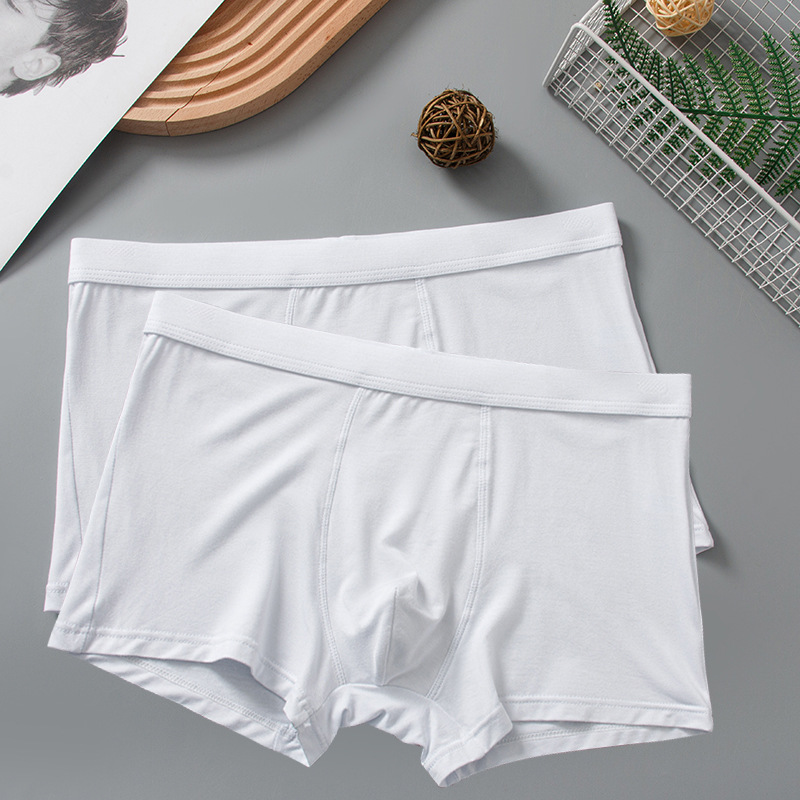 2팩(화이트+화이트)