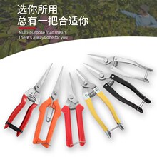 阳江直销不锈钢摘果剪多功能园林剪花园园艺修枝剪果树果子剪刀