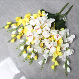 ���愦�m�����ٻ�������愦�m���͏d��Y�Ƶ��b羳����