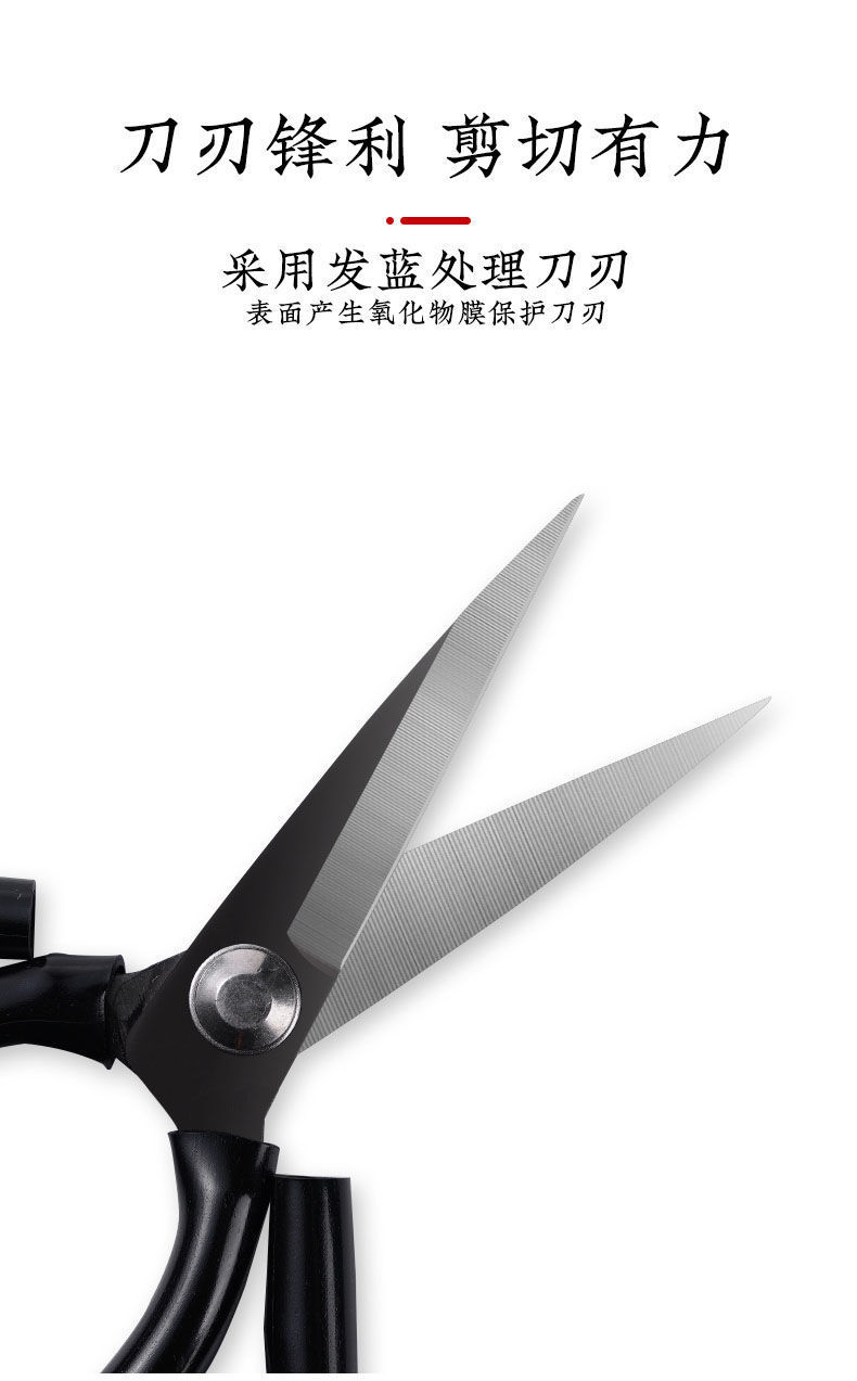 eb72a580-01ed-4ce8-9c16-fa1731