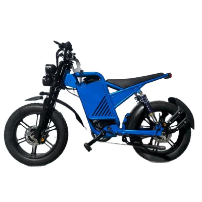 Auto Parts and Accessories, Diàndòngchē Dual Motor EBiK Electric Assist