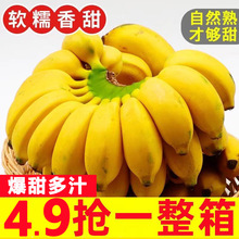 �Fժ���ڏV���O����10С�㽶ˮ���O���۽��Ž���ؕ�����rβ��С��