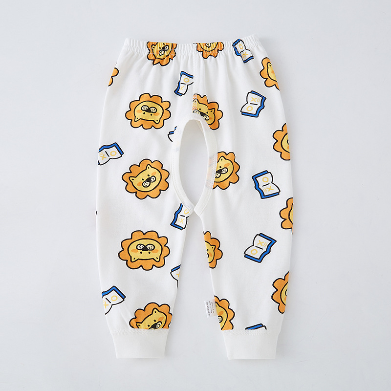 작은 사자에게서 배우다