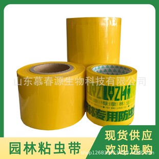 �������p���p����x�z�����䲶�x�z�����Ҵ���G���Nֲ���x�z��