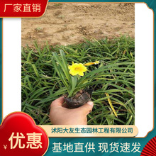 ��������ݻ������l �Ԯa���N  Ʒ�N�Rȫ���^�쾰���̾G����