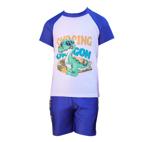 Children's swimsuit summer boys fashion cartoon split medium and large children training quick-drying boy professional swimming suit
