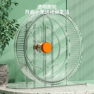 Hamster Running Wheel Silent with Bearing Golden Bear Hamster Toy Supplies Running Ball Cage Roller Sports with Bracket