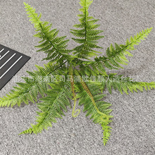 ����Gֲ ���첨˹�~ �ָ�ާ��沨˹�~ �F��ާֲ���ķ���