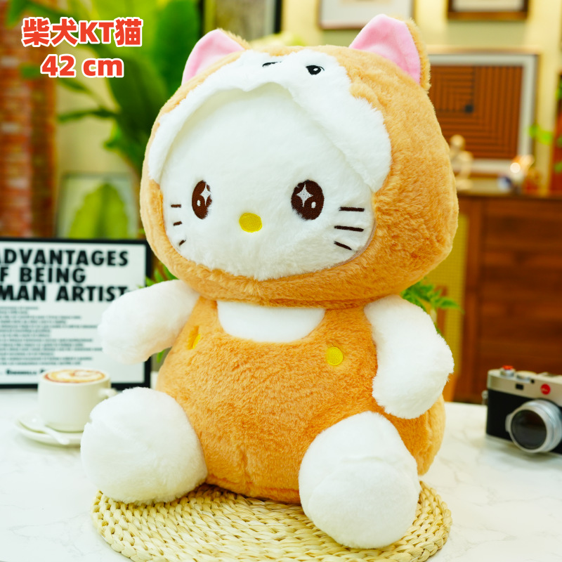 시바견 kt 고양이 42cm