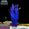 55 kelp purple