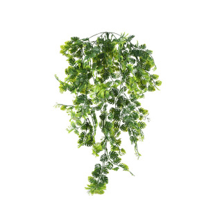 �����������~�ٗl�ڒ��~�ټҾӻ��@�Ɍ���Y�bҒ쳣��Gֲ