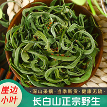 长白山新货绿色野生化石草嗷嗷叫肾精草茶批发支持密文一件代发