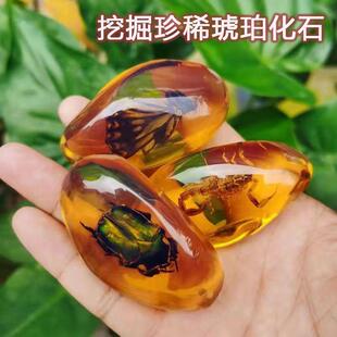 �����ھ���ߌ�ʯ���������ʯ�к�Ů���W�tdiy�ֹ�