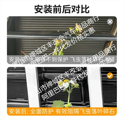 Grille Special Modification Accessories, Automobile anti-insect net