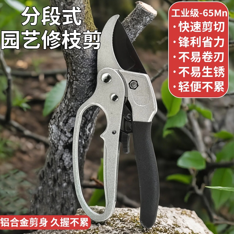 厂家直销高质量园林剪修枝剪树枝剪果枝剪摘果剪   欢迎选购