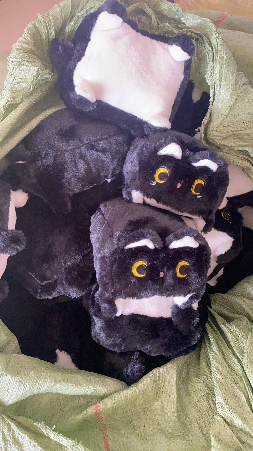 图片_20241227114058