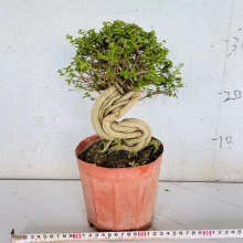 �Ϙ������ә��Ҽ����ļ��L���ͺ��辰ֲ���n�����Nޱ�Ϙ�����