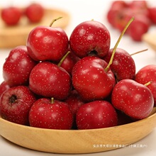 ���rɽ髹�5���b ɽ��r��ɽ��t�����l���r��ɽ髸�Ƭ���Ǻ��J��