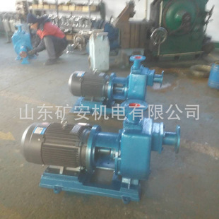 ZN80-65-15KW�͌��õ��{��   ˮú�{�ĵ��{   �������{��
