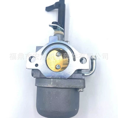 Carburetor Stratton 591378 796321