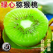 �G�īJ����10�����r�����ЋDˮ������������������殐��������]