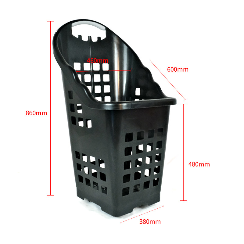 정사이즈 블랙 60L