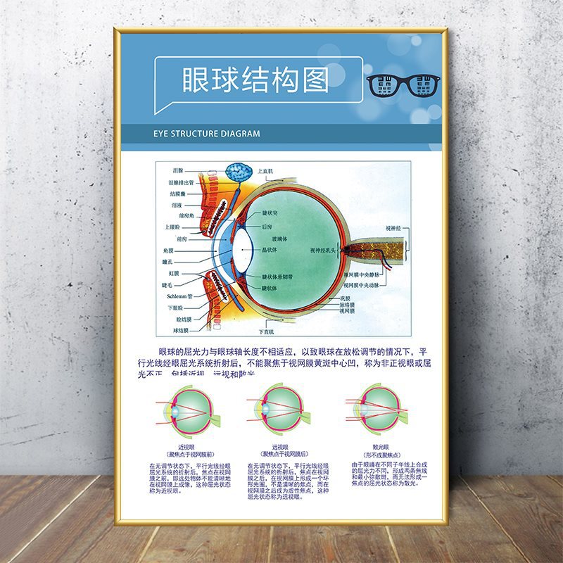01-eyeball structural chart
