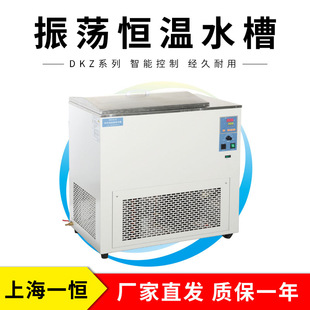 �Ϻ�һ�a         DKZ-2C      ��Uˮ��