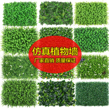 �Gֲ������ֲ��b����������ȼ���ֲ�����ϻ��ٲ�ƺ��Ƥ�b�