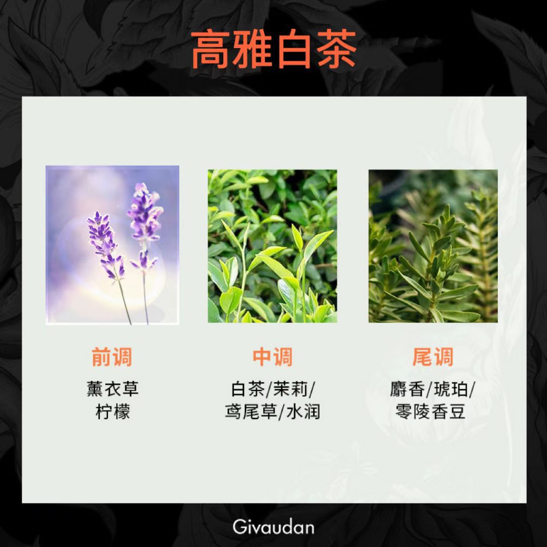 高雅白茶