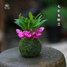 ߲ˮʯmˮ̦\҃Gֲ辰Bֲ[