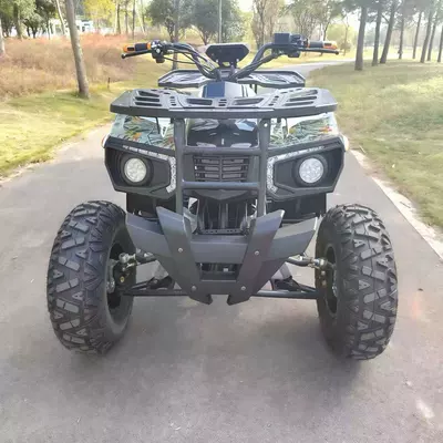 Electric War God Atv Elektrikli motosikletlər