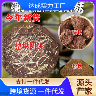 �V�����Ӳ�����ݲ�۲�ϴ���B�lϴ�^ɽ�����������Ͳ�l���