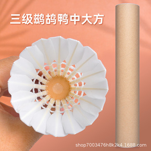 Դ�^���S�o���\��������ë���ʹ��ِ����3/6/12ֻ�b